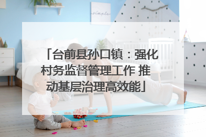台前县孙口镇：强化村务监督管理工作 推动基层治理高效能
