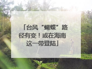 台风“蝴蝶”路径有变！或在海南这一带登陆