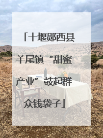十堰郧西县羊尾镇“甜蜜产业”鼓起群众钱袋子