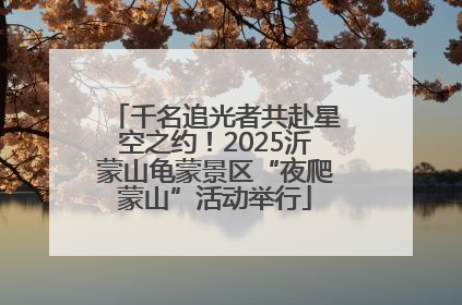 千名追光者共赴星空之约！2025沂蒙山龟蒙景区“夜爬蒙山”活动举行