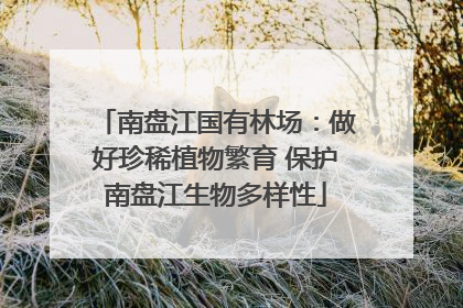 南盘江国有林场：做好珍稀植物繁育 保护南盘江生物多样性