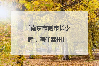 南京市副市长李晖，调任泰州