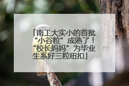 南工大实小的首批“小谷粒”成熟了！“校长妈妈”为毕业生系好三粒纽扣