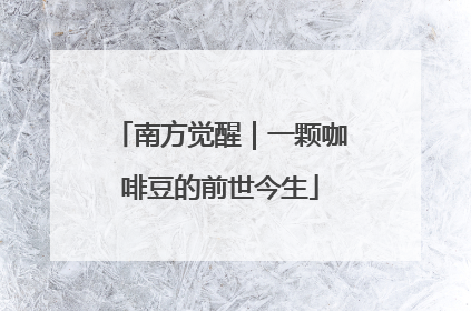 南方觉醒｜一颗咖啡豆的前世今生