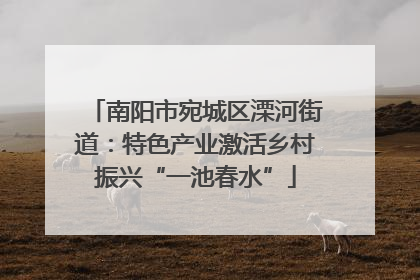 南阳市宛城区溧河街道：特色产业激活乡村振兴“一池春水”