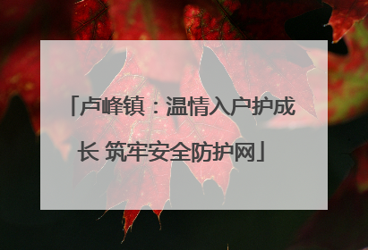 卢峰镇：温情入户护成长 筑牢安全防护网