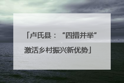 卢氏县：“四措并举”激活乡村振兴新优势