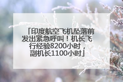 印度航空飞机坠落前发出紧急呼叫！机长飞行经验8200小时，副机长1100小时