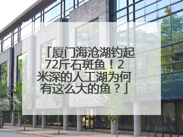 厦门海沧湖钓起72斤石斑鱼！2米深的人工湖为何有这么大的鱼？