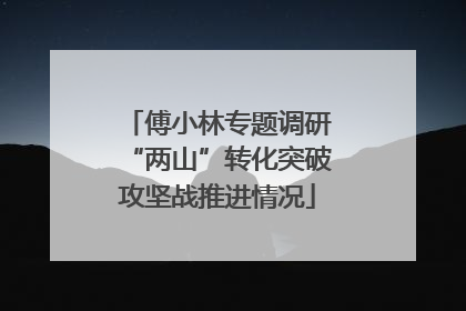 傅小林专题调研“两山”转化突破攻坚战推进情况