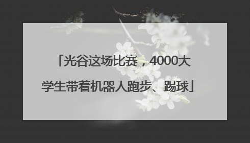 光谷这场比赛，4000大学生带着机器人跑步、踢球