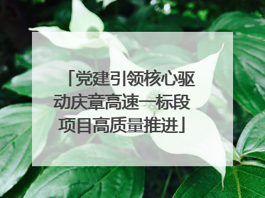 党建引领核心驱动庆章高速一标段项目高质量推进