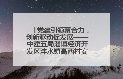 党建引领聚合力，创新驱动促发展——中建五局淄博经济开发区沣水镇高西村安置项目建设纪实