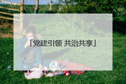 党建引领 共治共享