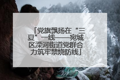 党旗飘扬在“三夏”一线——宛城区溧河街道党群合力筑牢禁烧防线
