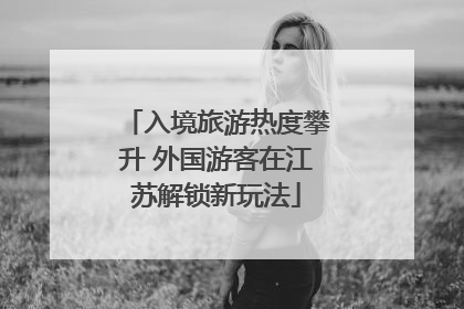 入境旅游热度攀升 外国游客在江苏解锁新玩法