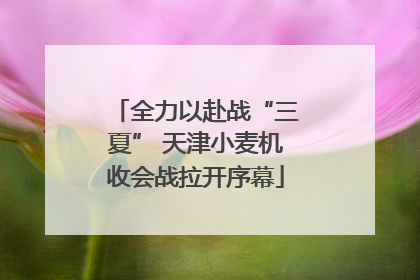 全力以赴战“三夏” 天津小麦机收会战拉开序幕