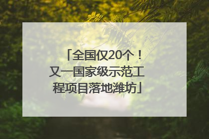 全国仅20个！又一国家级示范工程项目落地潍坊