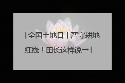 全国土地日丨严守耕地红线！田长这样说→