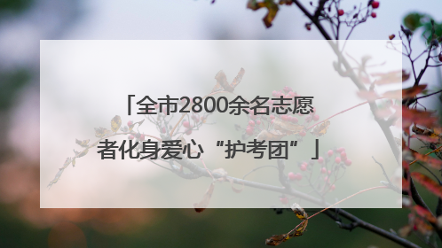 全市2800余名志愿者化身爱心“护考团”