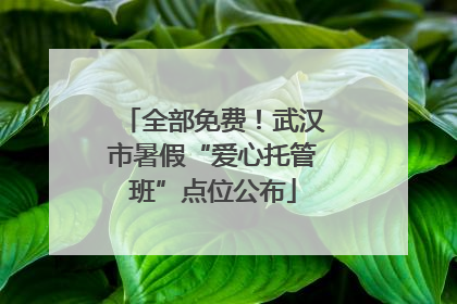 全部免费！武汉市暑假“爱心托管班”点位公布