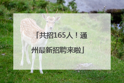 共招165人！通州最新招聘来啦
