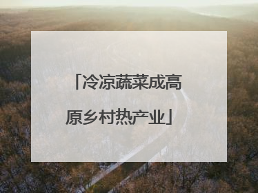 冷凉蔬菜成高原乡村热产业