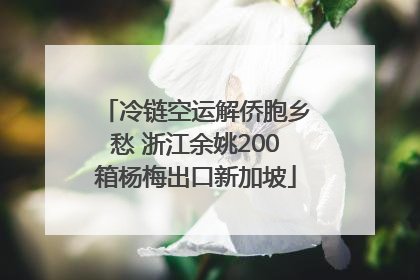 冷链空运解侨胞乡愁 浙江余姚200箱杨梅出口新加坡