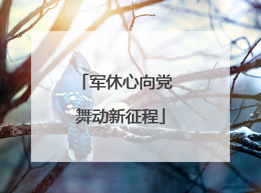 军休心向党 舞动新征程