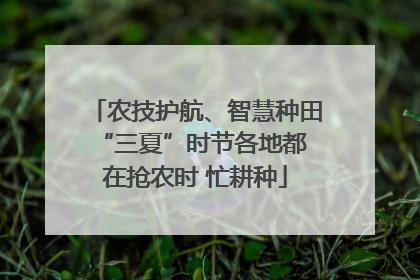 农技护航、智慧种田 “三夏”时节各地都在抢农时 忙耕种