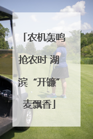 农机轰鸣抢农时 湖滨“开镰”麦飘香