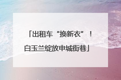 出租车“换新衣”！白玉兰绽放申城街巷