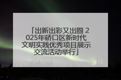 出新出彩又出圈 2025年硚口区新时代文明实践优秀项目展示交流活动举行