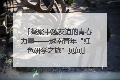 凝聚中越友谊的青春力量——越南青年“红色研学之旅”见闻