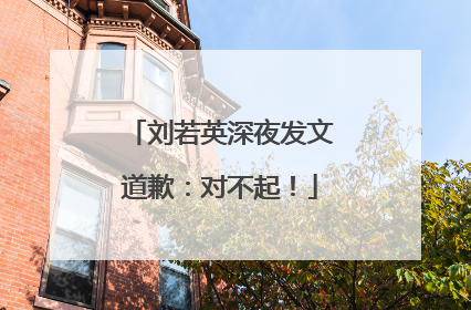 刘若英深夜发文道歉：对不起！