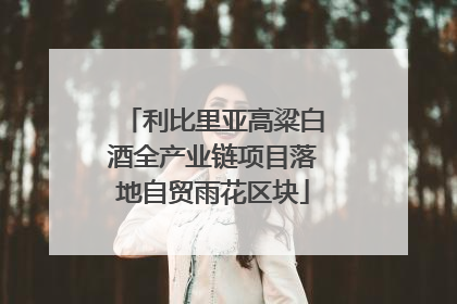 利比里亚高粱白酒全产业链项目落地自贸雨花区块