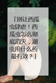 别让西瓜虫肆虐！西瓜虫怎么彻底消灭，潮虫用什么药最有效？