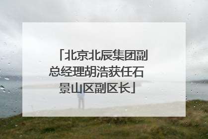 北京北辰集团副总经理胡浩获任石景山区副区长