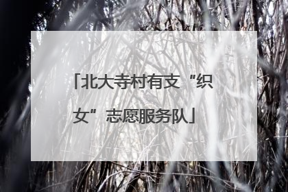 北大寺村有支“织女”志愿服务队