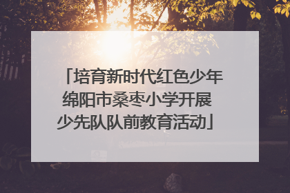 培育新时代红色少年 绵阳市桑枣小学开展少先队队前教育活动