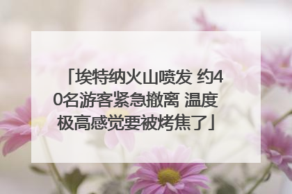 埃特纳火山喷发 约40名游客紧急撤离 温度极高感觉要被烤焦了