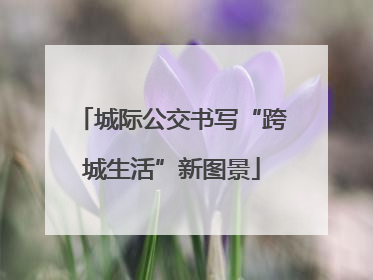 城际公交书写“跨城生活”新图景