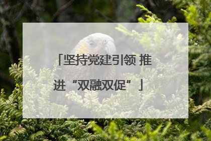 坚持党建引领 推进“双融双促”
