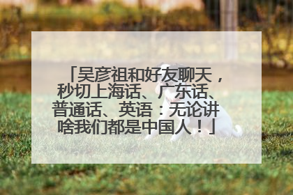 吴彦祖和好友聊天，秒切上海话、广东话、普通话、英语：无论讲啥我们都是中国人！
