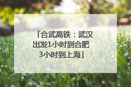 合武高铁：武汉出发1小时到合肥3小时到上海