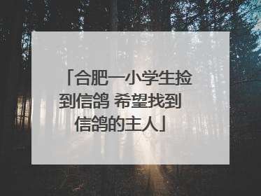 合肥一小学生捡到信鸽 希望找到信鸽的主人