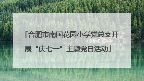合肥市南国花园小学党总支开展“庆七一”主题党日活动