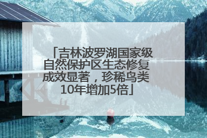 吉林波罗湖国家级自然保护区生态修复成效显著，珍稀鸟类10年增加5倍
