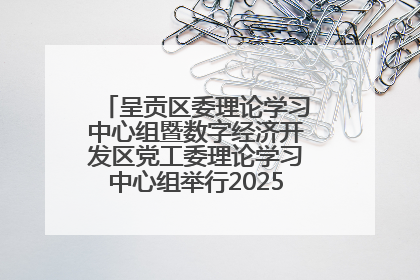 呈贡区委理论学习中心组暨数字经济开发区党工委理论学习中心组举行2025年第七次学习会议