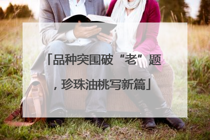 品种突围破“老”题，珍珠油桃写新篇